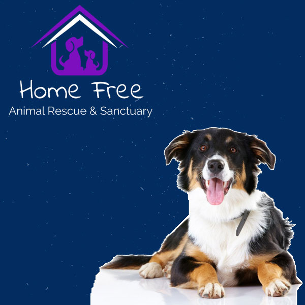 Home-Free-Animal