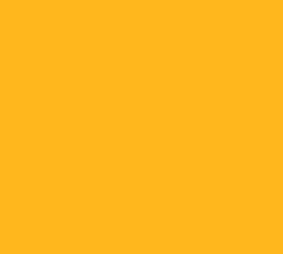 A BlueZoo Web logo gif on yellow background