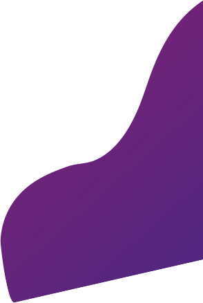 A sleek purple stylish curved element on bottom of BlueZoo Web website homepage.